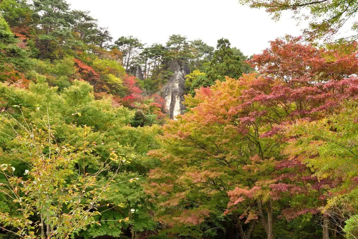 🏞️ 키미마치자카 현립 자연공원(키미마치자카 켄리츠 시젠 코엔) 이미지 6